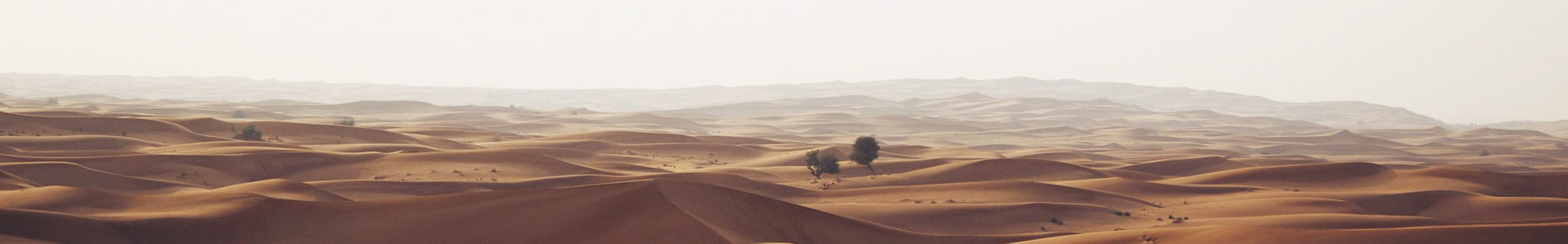 ֣ݺ޹˾